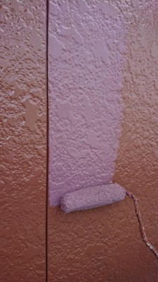 DSC_3032.JPG